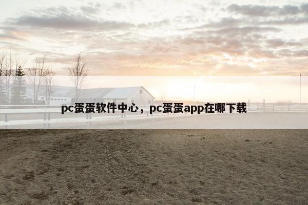 pc蛋蛋软件中心，pc蛋蛋app在哪下载