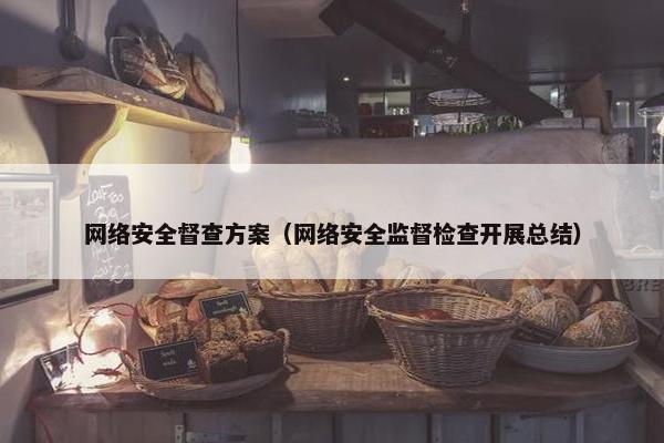 网络安全督查方案（网络安全监督检查开展总结）