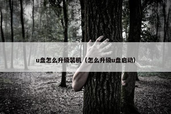 u盘怎么升级装机（怎么升级u盘启动）
