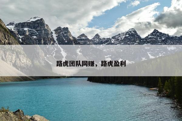 路虎团队网赚，路虎盈利