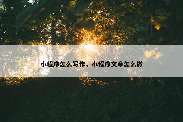 小程序怎么写作，小程序文章怎么做