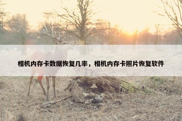 相机内存卡数据恢复几率，相机内存卡照片恢复软件