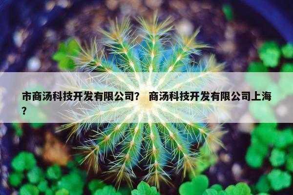市商汤科技开发有限公司？ 商汤科技开发有限公司上海？