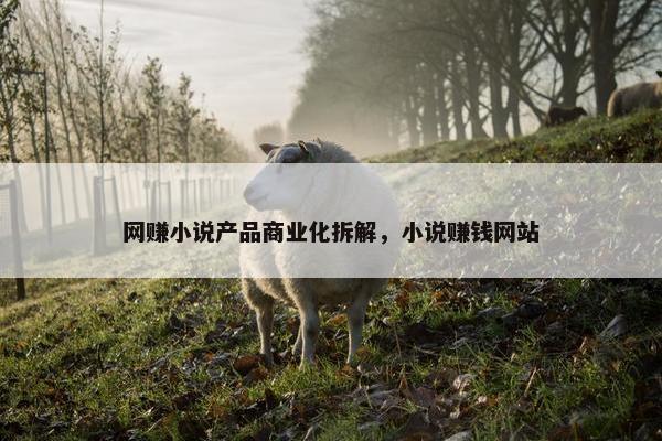网赚小说产品商业化拆解，小说赚钱网站