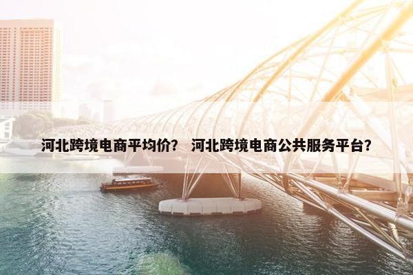 河北跨境电商平均价？ 河北跨境电商公共服务平台？