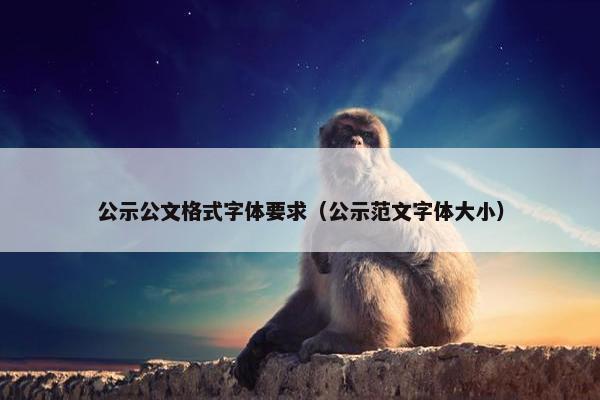 公示公文格式字体要求（公示范文字体大小）