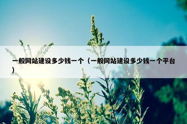 一般网站建设多少钱一个（一般网站建设多少钱一个平台）