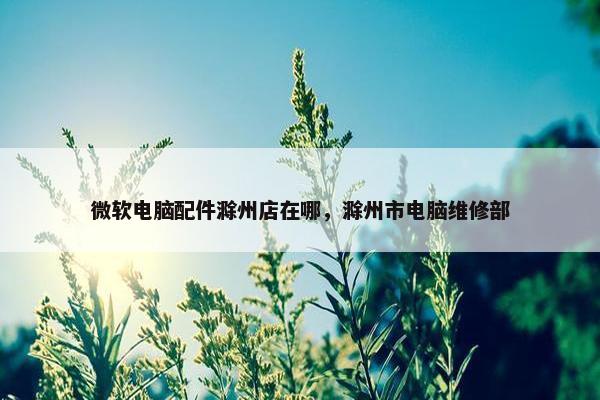 微软电脑配件滁州店在哪，滁州市电脑维修部