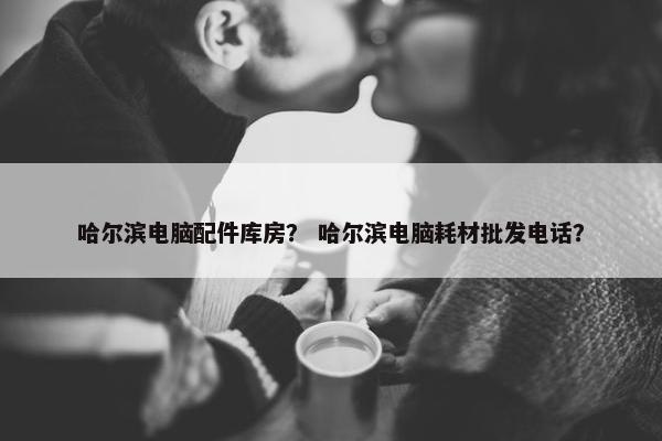 哈尔滨电脑配件库房？ 哈尔滨电脑耗材批发电话？