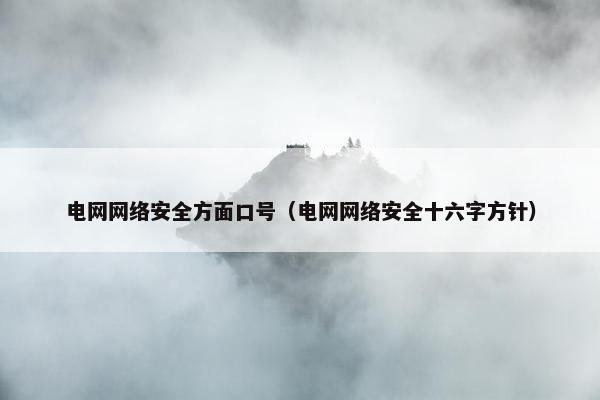 电网网络安全方面口号（电网网络安全十六字方针）