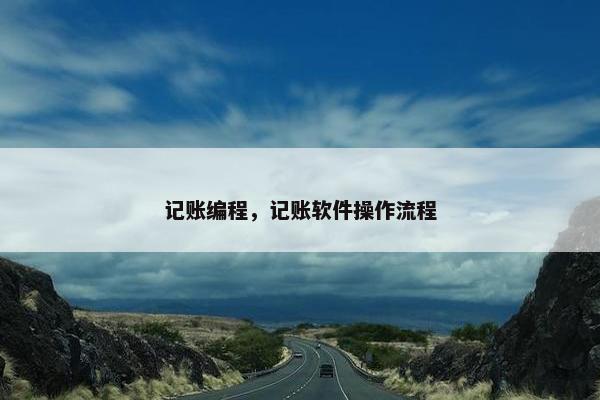 记账编程，记账软件操作流程