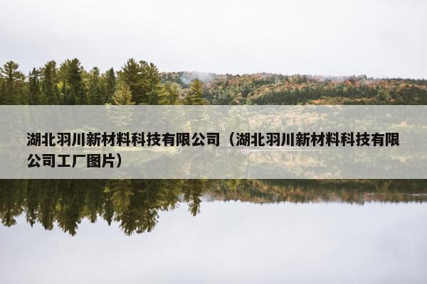 湖北羽川新材料科技有限公司（湖北羽川新材料科技有限公司工厂图片）