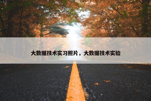 大数据技术实习照片，大数据技术实验