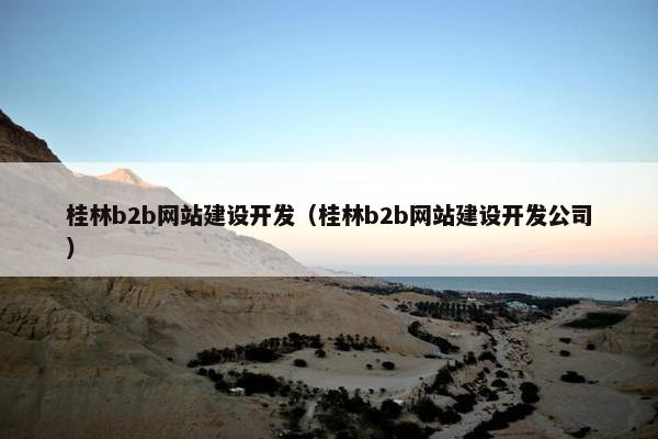 桂林b2b网站建设开发（桂林b2b网站建设开发公司）