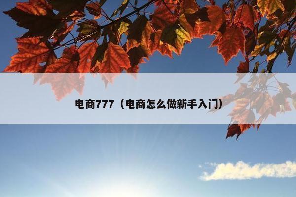 电商777（电商怎么做新手入门）