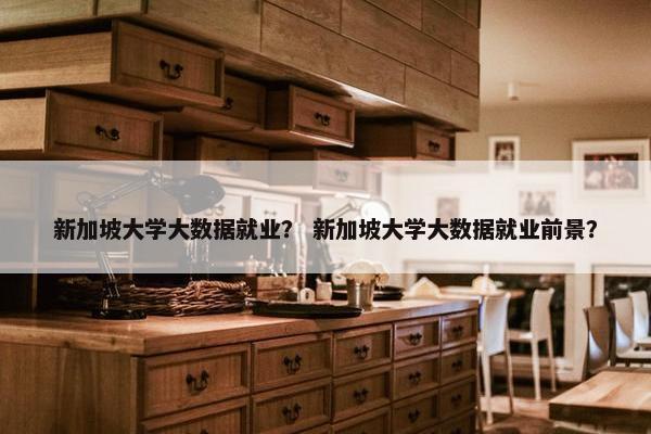 新加坡大学大数据就业？ 新加坡大学大数据就业前景？