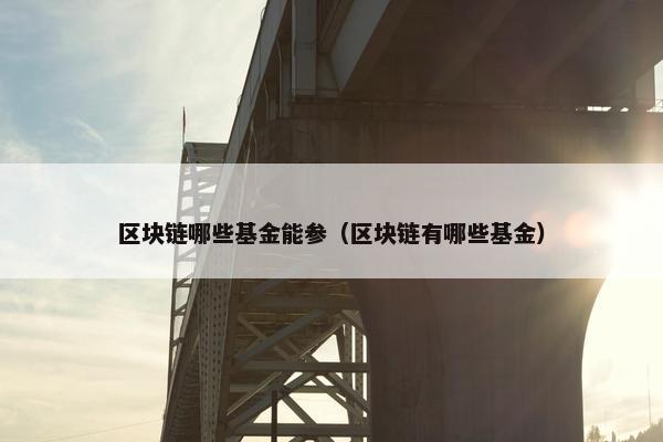 区块链哪些基金能参（区块链有哪些基金）