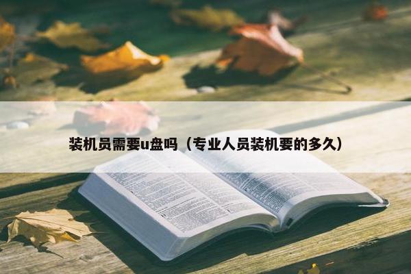 装机员需要u盘吗（专业人员装机要的多久）