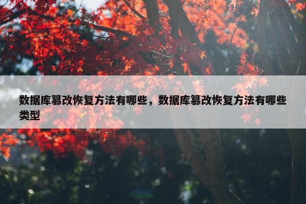 数据库篡改恢复方法有哪些，数据库篡改恢复方法有哪些类型