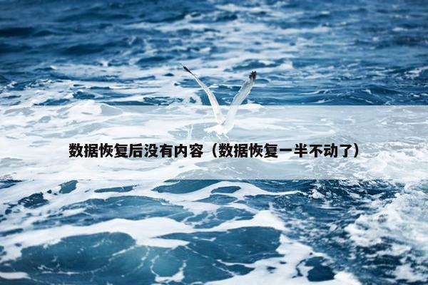 数据恢复后没有内容（数据恢复一半不动了）