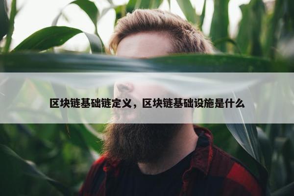 区块链基础链定义，区块链基础设施是什么