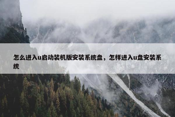 怎么进入u启动装机版安装系统盘，怎样进入u盘安装系统