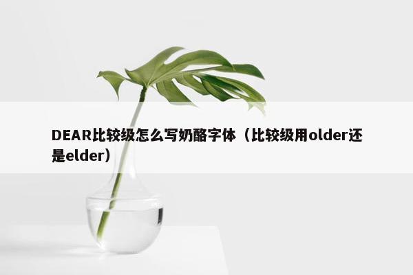 DEAR比较级怎么写奶酪字体（比较级用older还是elder）