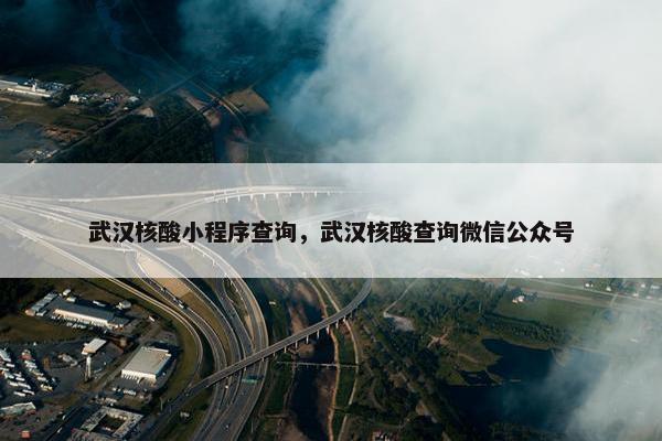 武汉核酸小程序查询，武汉核酸查询微信公众号