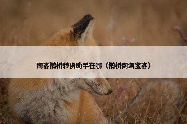 淘客鹊桥转换助手在哪（鹊桥网淘宝客）