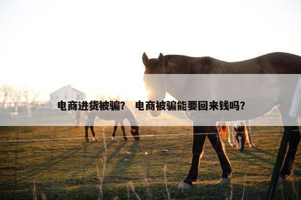 电商进货被骗？ 电商被骗能要回来钱吗？