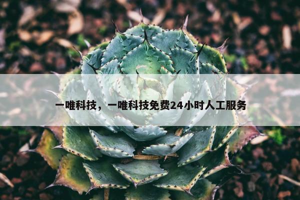一唯科技，一唯科技免费24小时人工服务