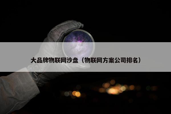 大品牌物联网沙盘（物联网方案公司排名）
