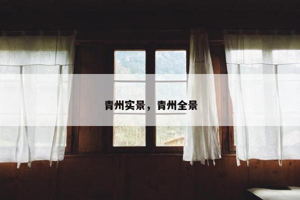 青州实景，青州全景