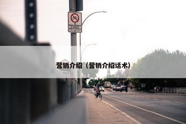 营销介绍（营销介绍话术）