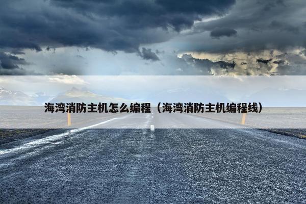 海湾消防主机怎么编程（海湾消防主机编程线）