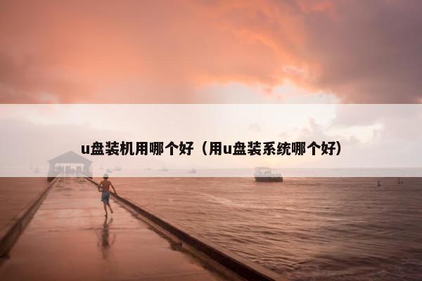 u盘装机用哪个好（用u盘装系统哪个好）