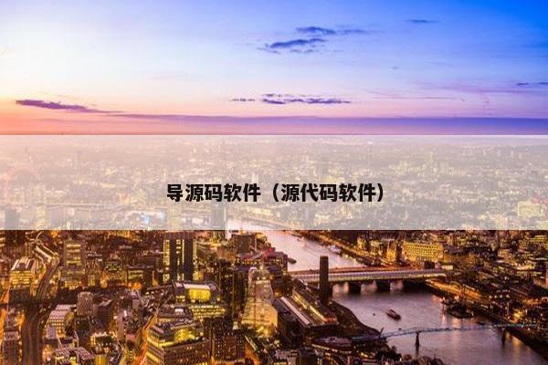 导源码软件（源代码软件）