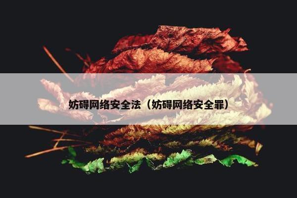 妨碍网络安全法（妨碍网络安全罪）