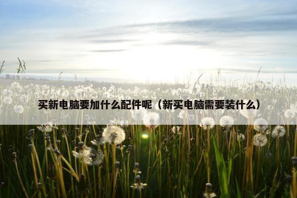 买新电脑要加什么配件呢（新买电脑需要装什么）