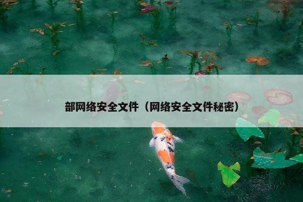 部网络安全文件（网络安全文件秘密）