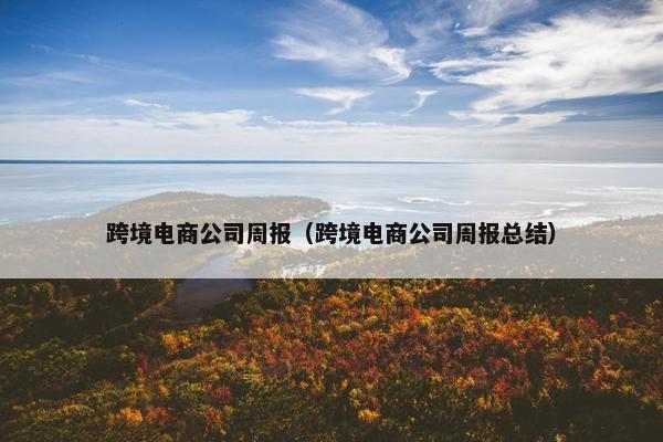 跨境电商公司周报（跨境电商公司周报总结）