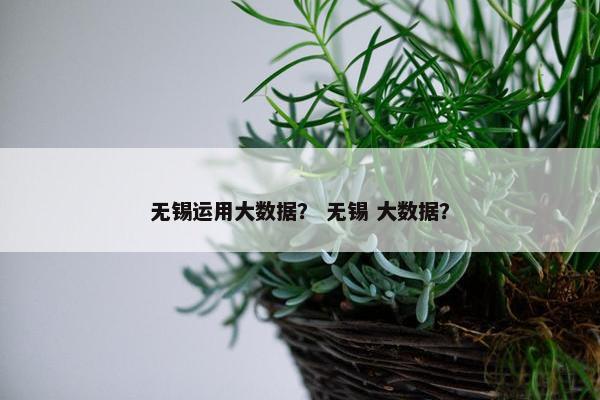 无锡运用大数据？ 无锡 大数据？