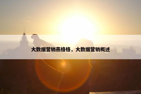 大数据营销燕格格，大数据营销概述