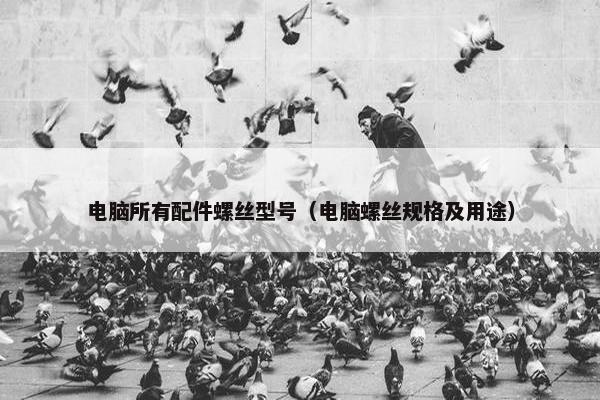 电脑所有配件螺丝型号（电脑螺丝规格及用途）