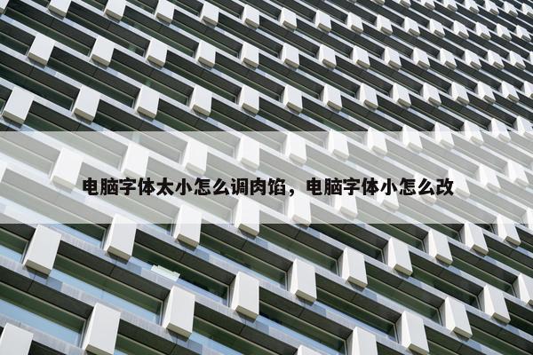电脑字体太小怎么调肉馅，电脑字体小怎么改
