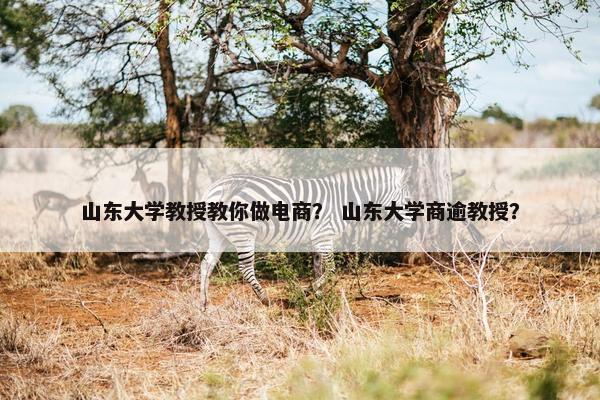 山东大学教授教你做电商？ 山东大学商逾教授？