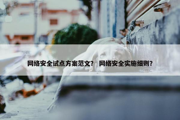 网络安全试点方案范文？ 网络安全实施细则？
