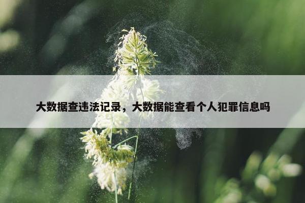大数据查违法记录，大数据能查看个人犯罪信息吗