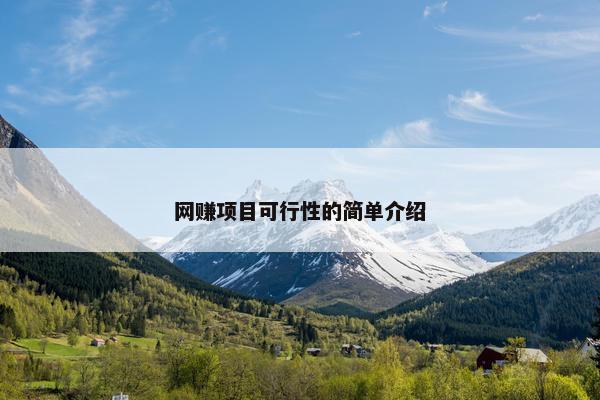 网赚项目可行性的简单介绍
