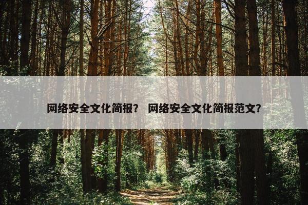 网络安全文化简报？ 网络安全文化简报范文？